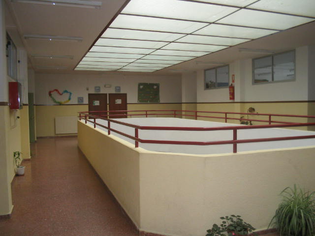 colegio mayores